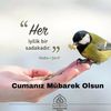 beyazpascal