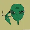 gheff.manco