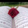 user8623794803800