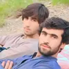 zahir.safi56