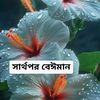 beawty71