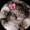 khadija.akter4874