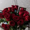 marinamikhalevich5