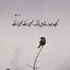 user70461784184301