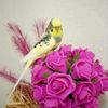 elif7110