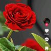 laiba85771