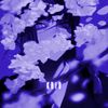 kr1d.fx