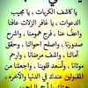 user2528793837008