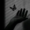 zahra51776