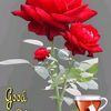user8580639206265