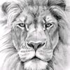 lionsdean