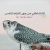 user763047023834019