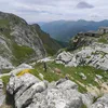 florent_644