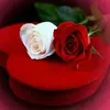 hanane.kamine