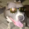perro.loko90