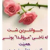 rozhanahmad42