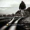 user595136781357