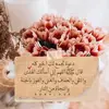 user9345702751488