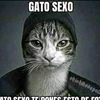 gato_s3xo3000