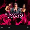 sumo25776