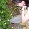 hikari_._00