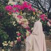 habibaahmed333