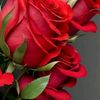 ahmed.amine.amine4