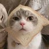 mind._.your._business