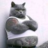 mr.kelo3