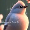 user92970003117010