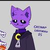 catnap1201