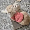 lucylucacat