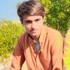 ali.waris124