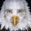 smomescjy