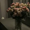 lica_f5