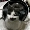 theycallme_nico