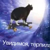 dania_6356