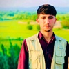 shoaib.ahmadi21