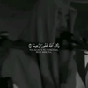 ahlam.tamer6