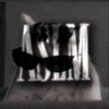 aslm_wei