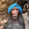badutt3935