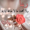 farha.hesham2