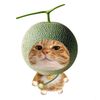 bubybubyb