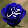 user25800097718726