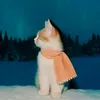 dzmrrfn
