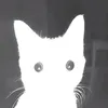_nhtwa.nh_