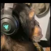 damonkegaming