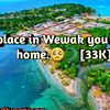 user95573714842733