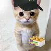 minxx_y