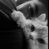 wqxznml